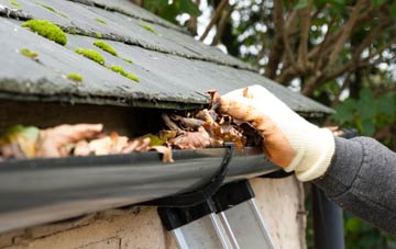 gutter cleaning Carrick Castle, Argyll And Bute